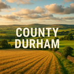 Installation Sewage Treatment Plants, Septic Tanks - County Durham