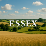 Installation Sewage Treatment Plants, Septic Tanks - Essex