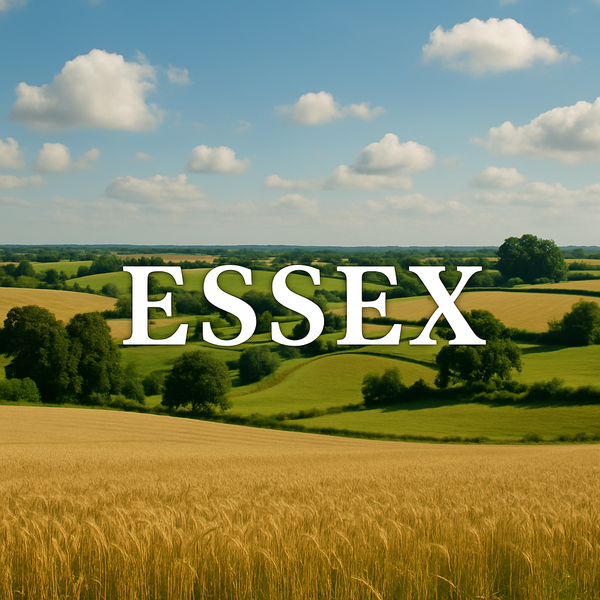 Installation Sewage Treatment Plants, Septic Tanks - Essex