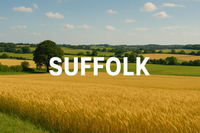 Installation Sewage Treatment Plants, Septic Tanks - Suffolk
