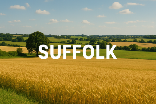 Installation Sewage Treatment Plants, Septic Tanks - Suffolk