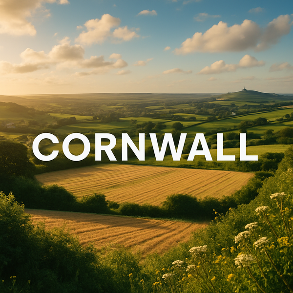 Installation Sewage Treatment Plants, Septic Tanks - Cornwall