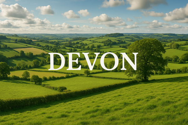 Installation Sewage Treatment Plants, Septic Tanks - Devon