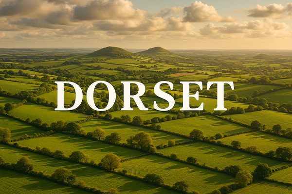 Installation Sewage Treatment Plants, Septic Tanks - Dorset