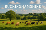 Installation Sewage Treatment Plants, Septic Tanks - Buckinghamshire