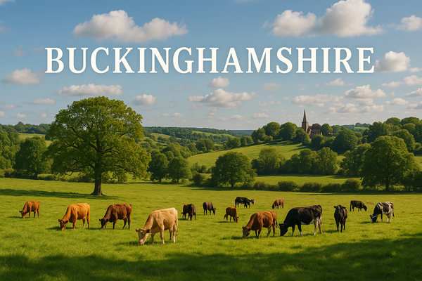 Installation Sewage Treatment Plants, Septic Tanks - Buckinghamshire